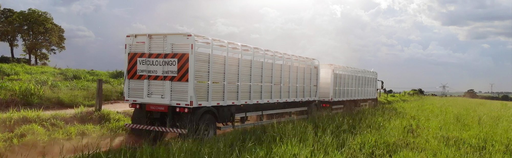 Facchini S A Reboque Para Transporte De Gado Bovino